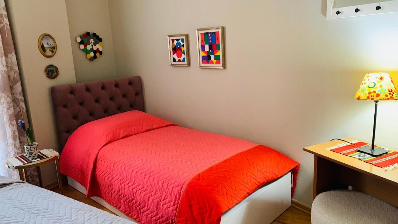 Central Comfy Apartment 地拉那 外观 照片