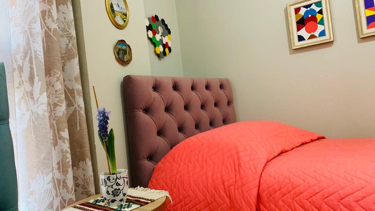 Central Comfy Apartment 地拉那 外观 照片