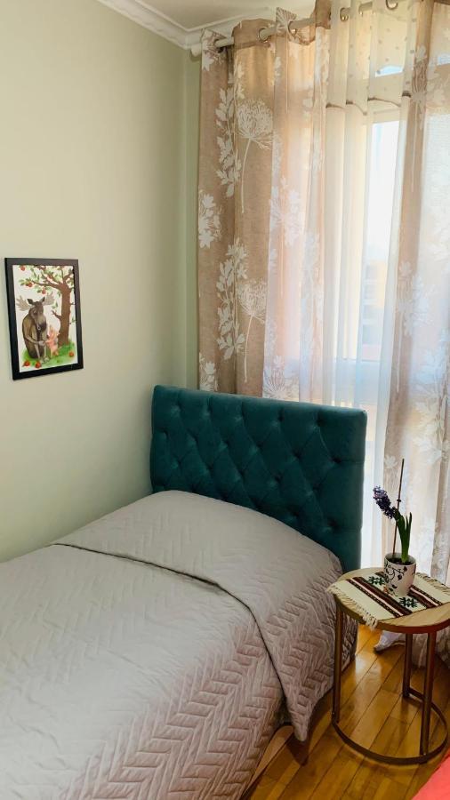 Central Comfy Apartment 地拉那 外观 照片